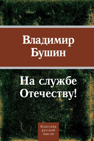 На службе Отечеству! читать онлайн