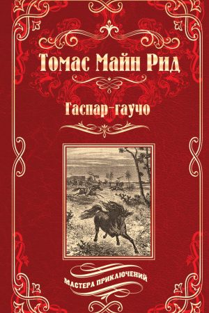 Гаспар-гаучо. Затерявшаяся гора читать онлайн