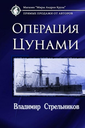 Операция «Цунами» читать онлайн