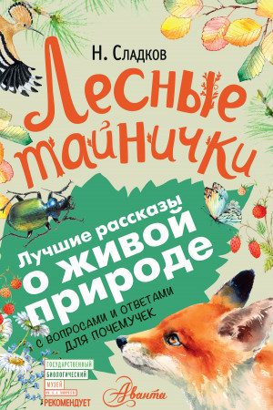 Лесные тайнички. С вопросами и ответами для почемучек читать онлайн