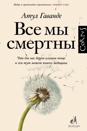 Все мы смертны. Что для нас дорого в самом конце и чем тут может помочь медицина читать онлайн