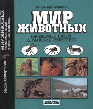 Мир животных: Насекомые. Пауки. Домашние животные читать онлайн