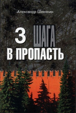 3 шага в пропасть читать онлайн