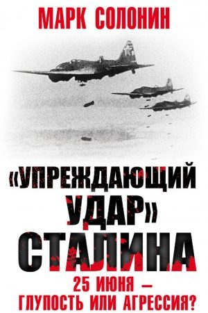 «Упреждающий удар» Сталина. 25 июня – глупость или агрессия? читать онлайн