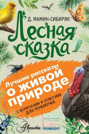 Лесная сказка. С вопросами и ответами для почемучек читать онлайн