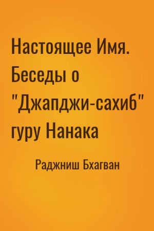 Настоящее Имя. Беседы о "Джапджи-сахиб" гуру Нанака читать онлайн