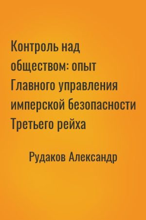 Контроль над обществом: опыт Главного управления имперской безопасности Третьего рейха читать онлайн