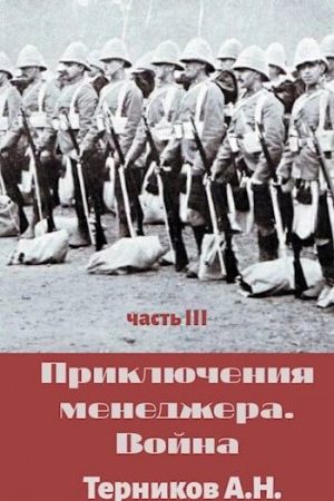 Приключения менеджера. Война читать онлайн