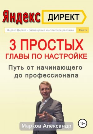 Яндекс.Директ. 3 простых главы по настройке. Путь от начинающего до профессионала читать онлайн