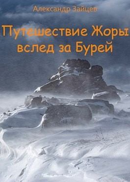 Путешествие Жоры вслед за Бурей читать онлайн