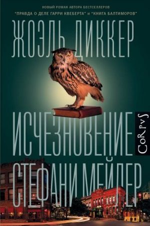 Исчезновение Стефани Мейлер читать онлайн