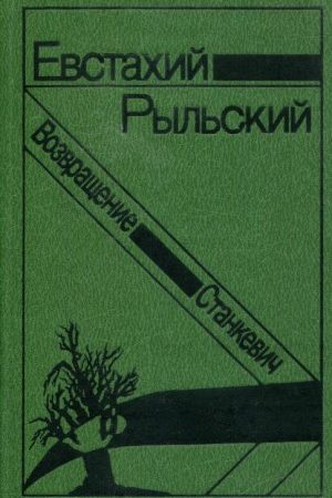 Станкевич. Возвращение читать онлайн