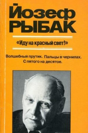 «Иду на красный свет!» читать онлайн