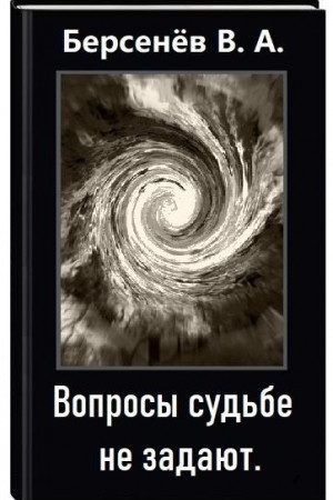 Вопросы судьбе не задают читать онлайн