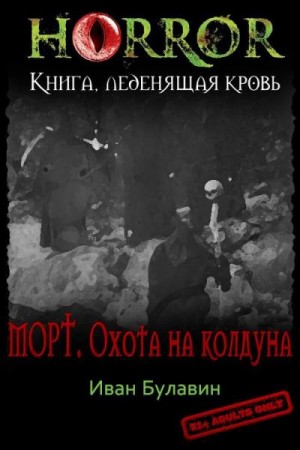 Морт. Охота на колдуна читать онлайн