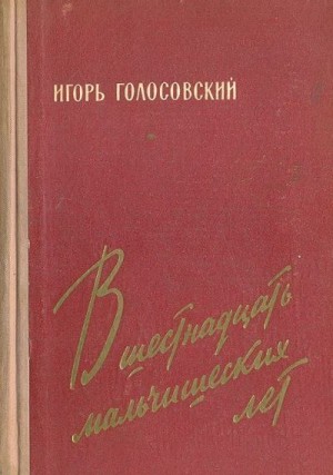 В шестнадцать мальчишеских лет читать онлайн