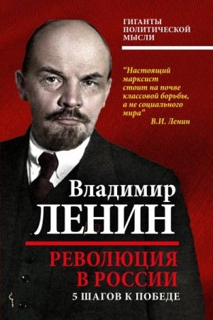 Революция в России. 5 шагов к победе читать онлайн