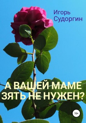 А вашей маме зять не нужен? читать онлайн